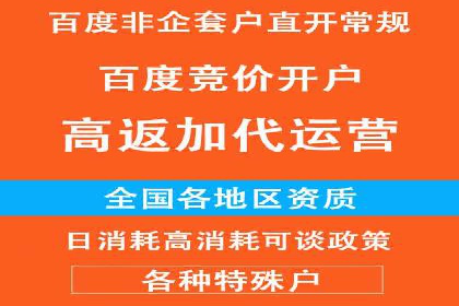 SEM托管服务，成功案例展示转化优势